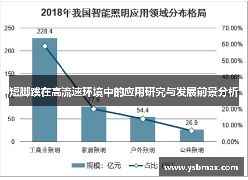 短脚蹼在高流速环境中的应用研究与发展前景分析