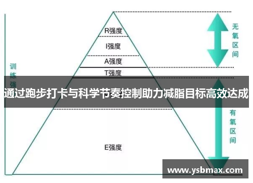 通过跑步打卡与科学节奏控制助力减脂目标高效达成
