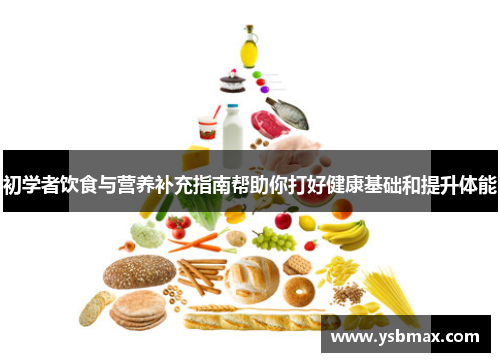 初学者饮食与营养补充指南帮助你打好健康基础和提升体能